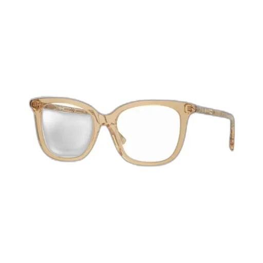Square Frame Glasses