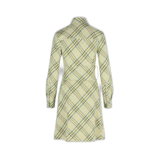 Checked Belted Waist Shirt Dress