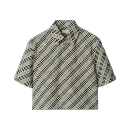 Short Sleeved Checked Cropped Shirt
