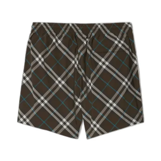 Checked Drawstring Swim Shorts
