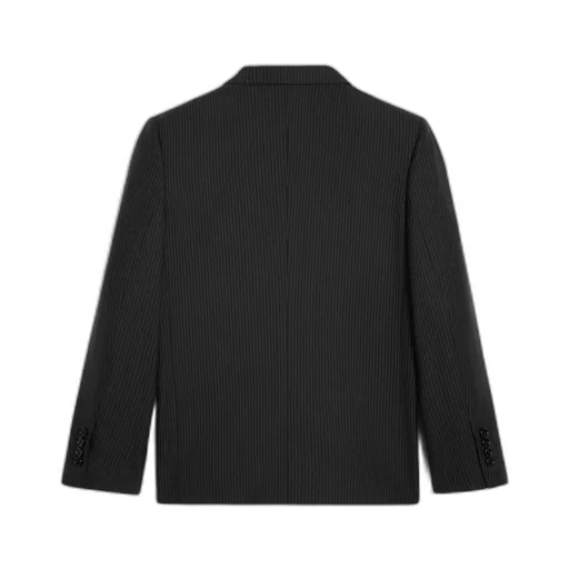 Sorbonne Jacket In Striped Wool