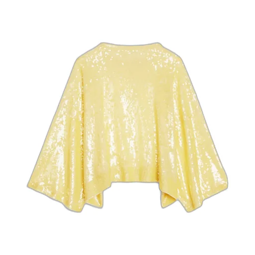 Embroidered Crop Top In Silk