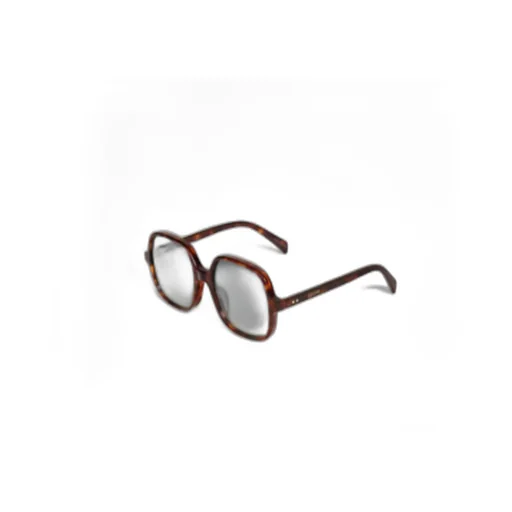 Oversized S244 Sunglasses In Acetate