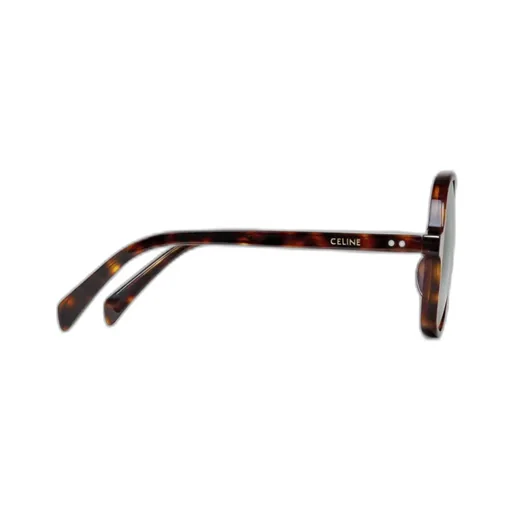 Oversized S244 Sunglasses In Acetate