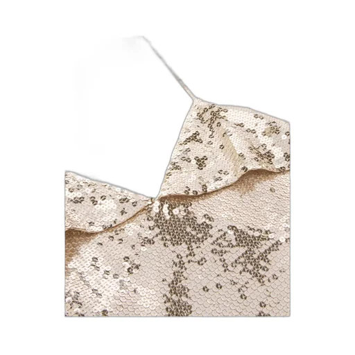 Embroidered Mini Dress In Silk Georgette