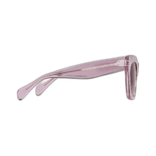 Cat Eye S004 Sunglasses In Acetate