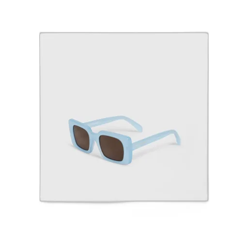 Square S213 Sunglasses In Acetate