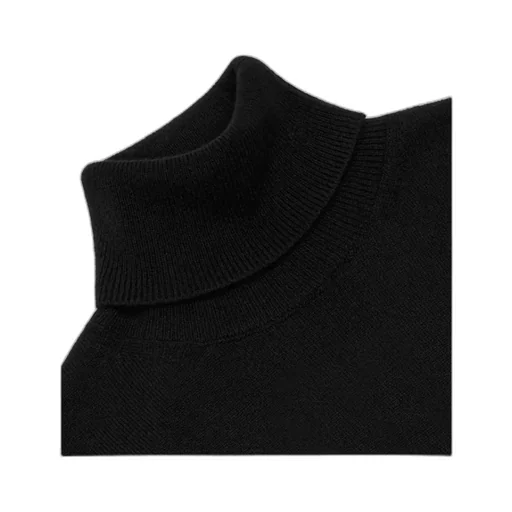 Triomphe Turtleneck Sweater In Fine Cashmere