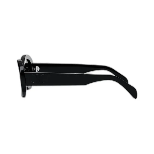 Triomphe 01 Sunglasses In Acetate