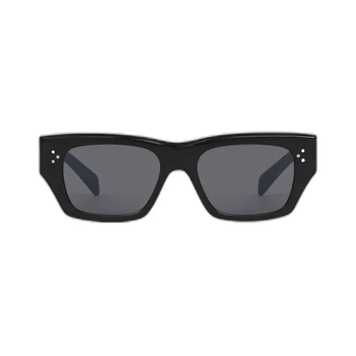 Frame 55 Sunglasses In Acetate