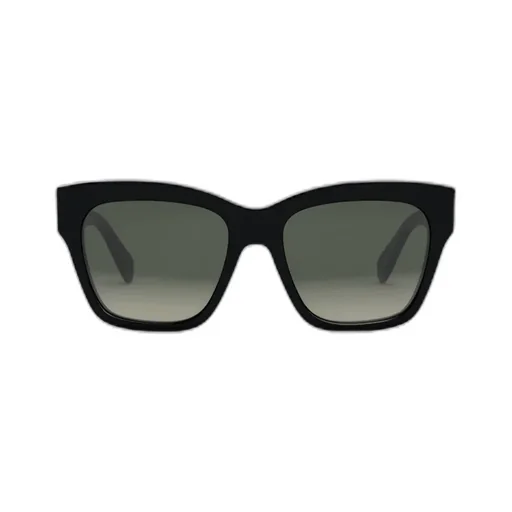 Triomphe 09 Sunglasses In Acetate