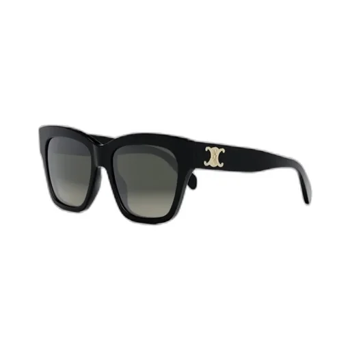Triomphe 09 Sunglasses In Acetate