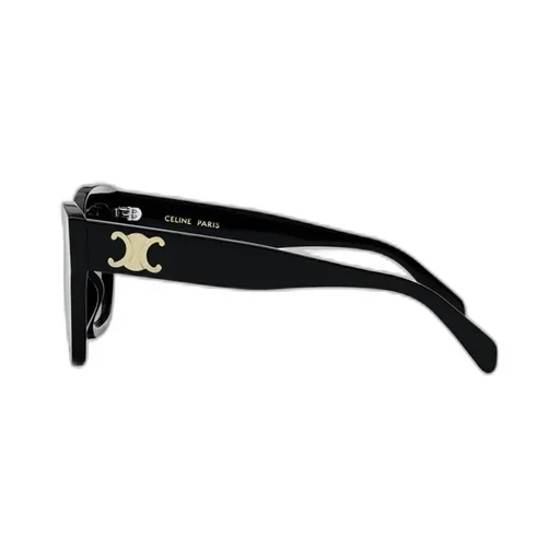 Triomphe 09 Sunglasses In Acetate