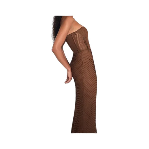 Strapless Mesh Maxi Dress