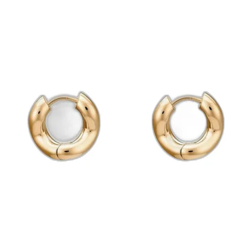 Small Wave Loop Earring