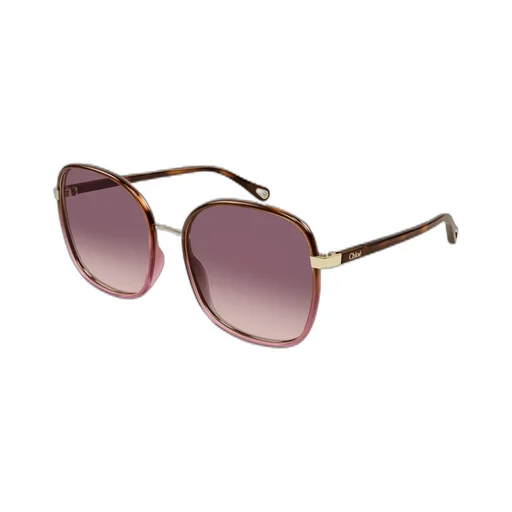 Square Frame Sunglasses