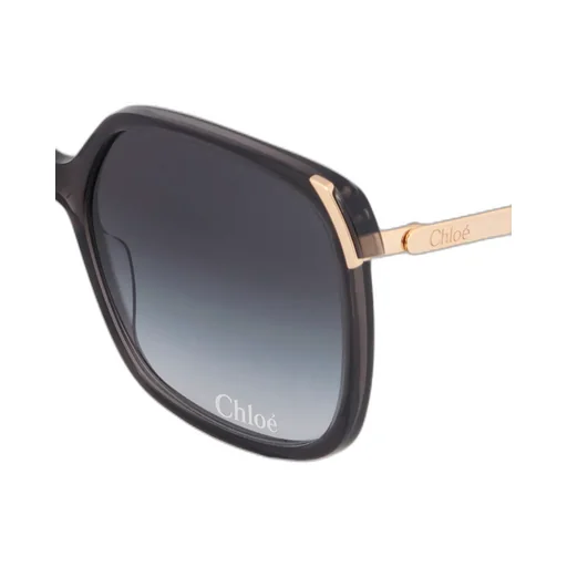 Oversize Frame Sunglasses
