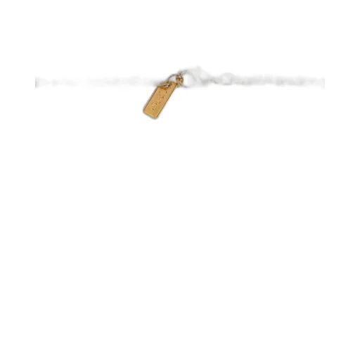 The Chloé Shells Pendant Necklace