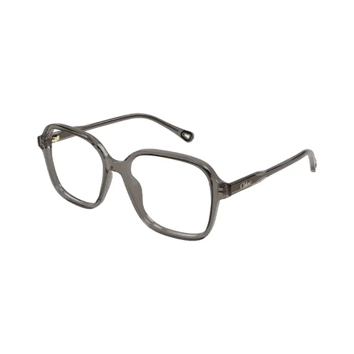 Square Frame Glasses