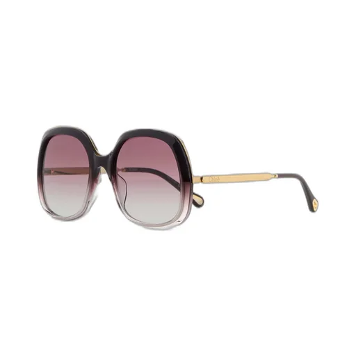 Full Frame Sunglasses