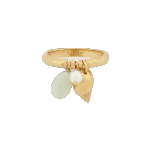 Shells Ring