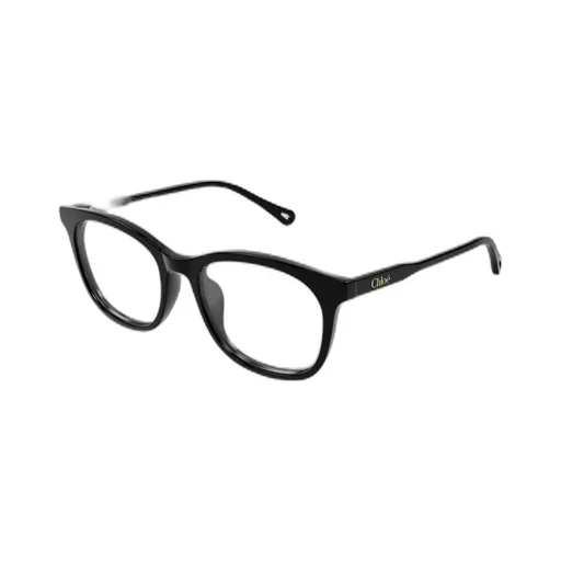 Square Frame Glasses