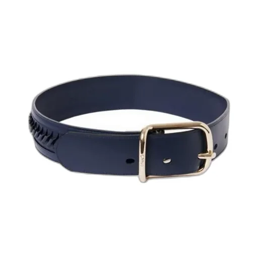 Logo Belt