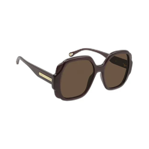 Square Frame Sunglasses