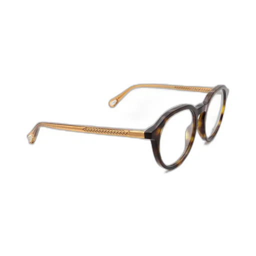 Round Frame Glasses