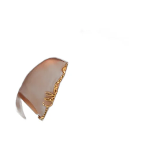 The Chloé Iconic Bracelet