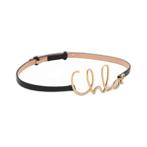The Iconic Small Belt