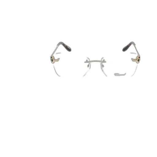 Butterfly Frame Glasses