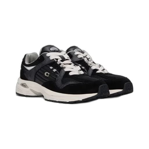 Logo Lace Low-Cut Skate Shoes