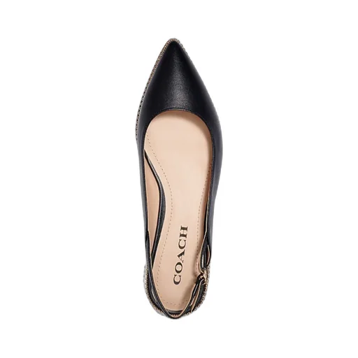 Pointed Flat Shoes