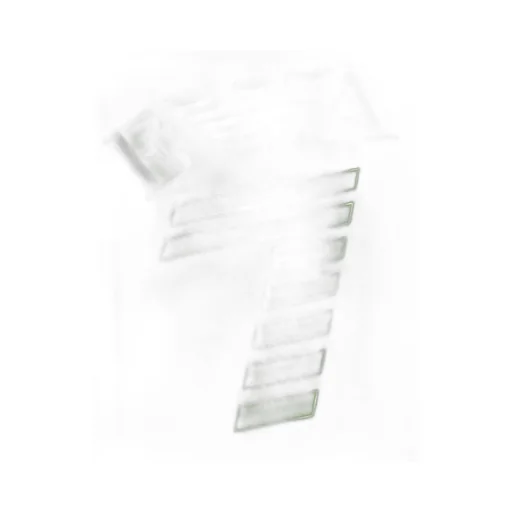 Round-Necked Logo T-Shirt