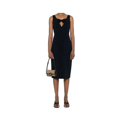 Sleeveless Dress