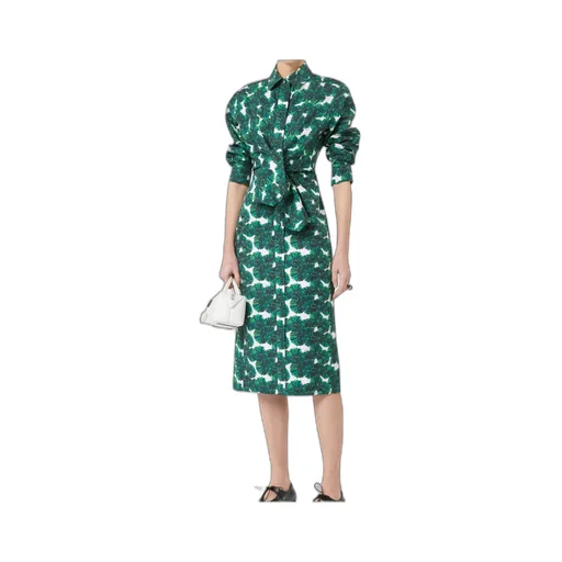 Printed Poplin Shirt Dress
