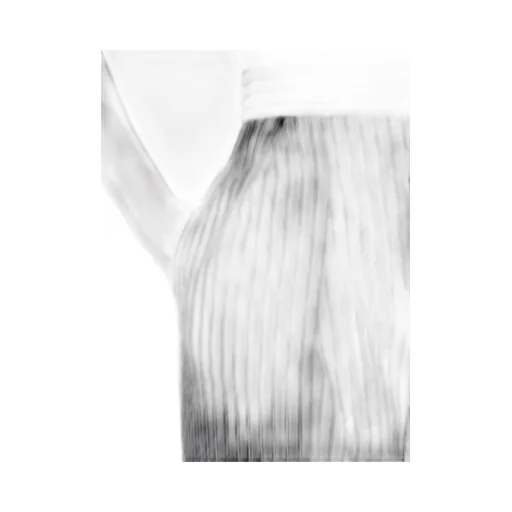 Sesamo Pinstripe Pleat Detailed Trousers