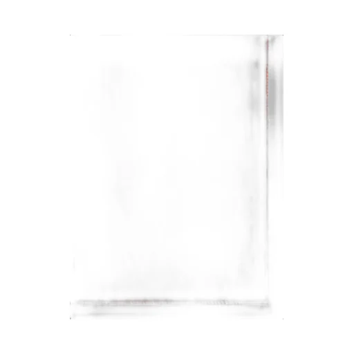Rivera Sheer Scarf