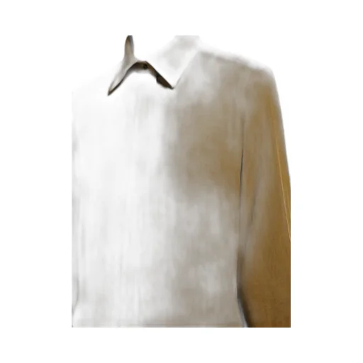 Collared Long-Sleeve Shirt