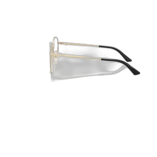 Round Frame Glasses