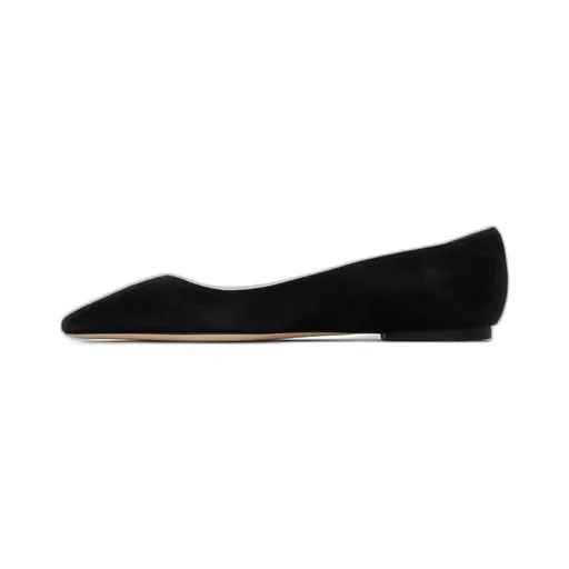 Pointed Ballet Flats