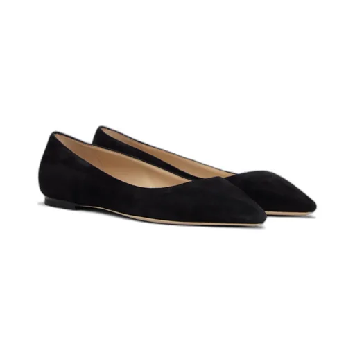 Pointed Ballet Flats