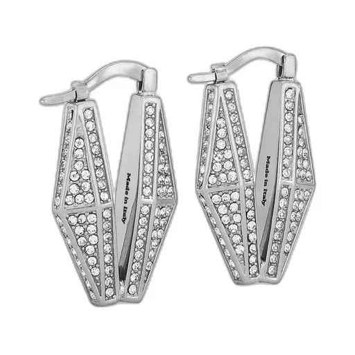 Inlaid Earrings