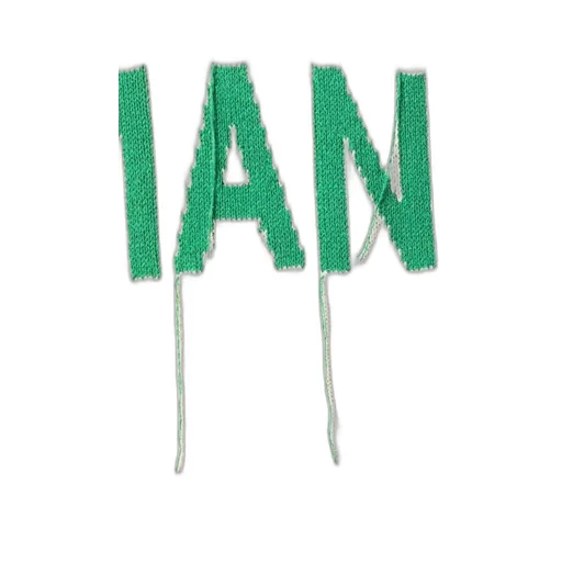 Logo Intarsia Knit Crewneck Jumper