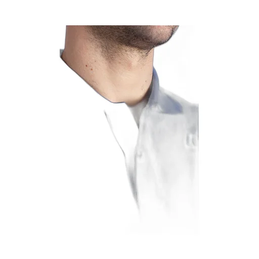 Amedee Stretch Pique Polo Shirt