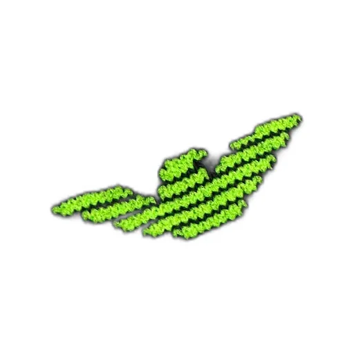 Logo Socks
