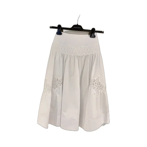 Embroidered Skirt