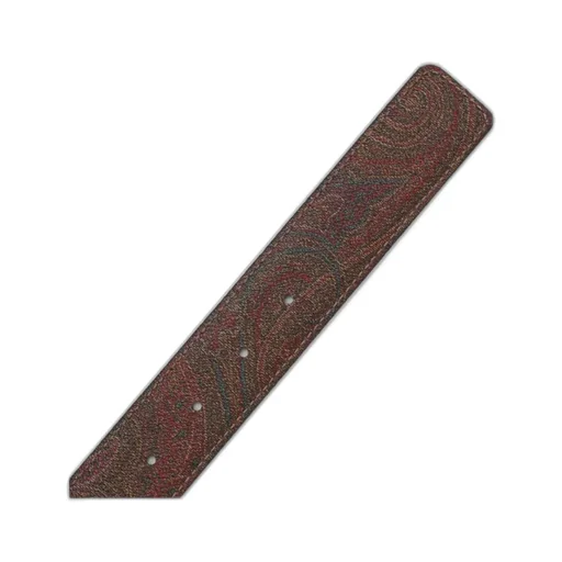 Reversible Belt