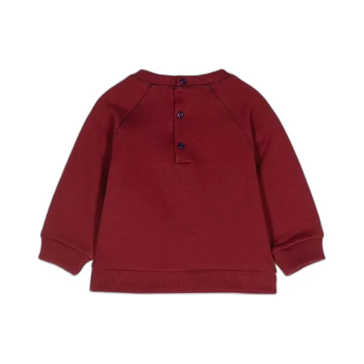 Pegaso Embroidered Crewneck Sweatshirt